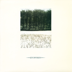 疯狂添女人下面69互添
